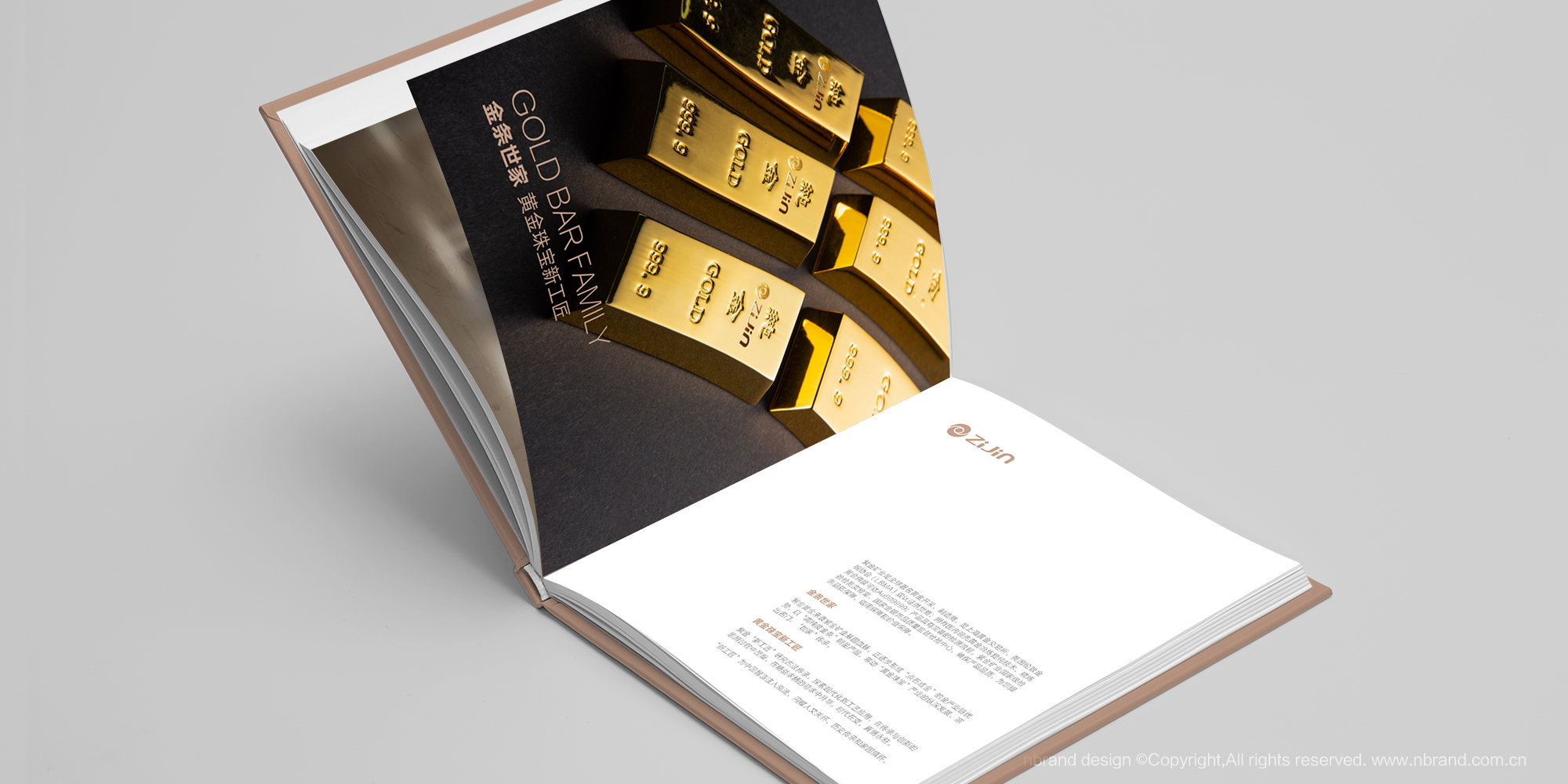 Ї500ϽVIFƷ󮋃ԡaƷփOӋ